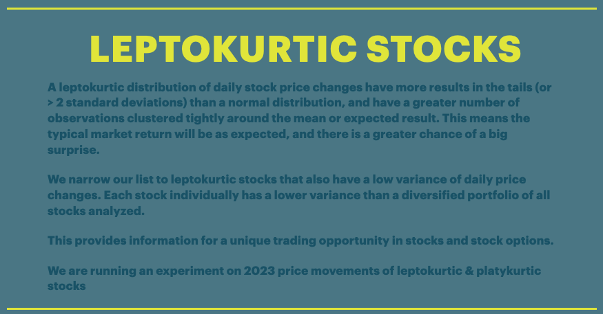 Presentation page on leptokurtic stocks, with yellow title and dark blue text.